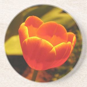 Orange Tulips Underlägg Sandsten
