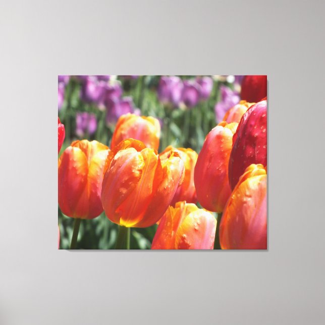 Orange Tulips Wrapped Canvas Skriv ut (Framsida)