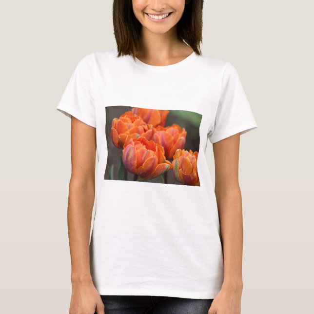 Orange tulpan t-shirt (Framsida)