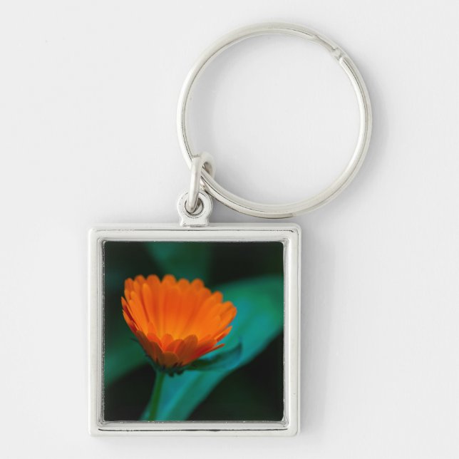 Orange Tusenskönablomma Fotograf Fyrkantig Silverfärgad Nyckelring (Framsidan)