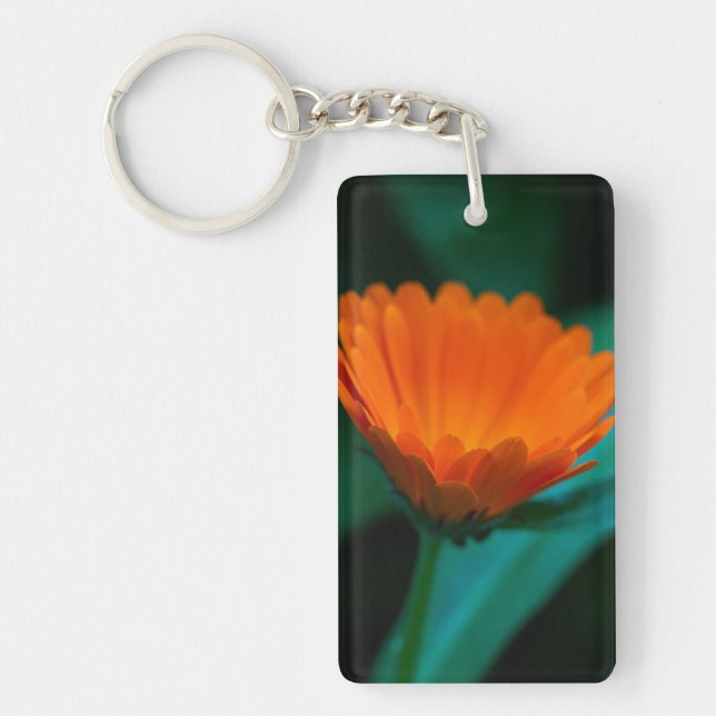 Orange tusenskönsblomma (Framsidan)