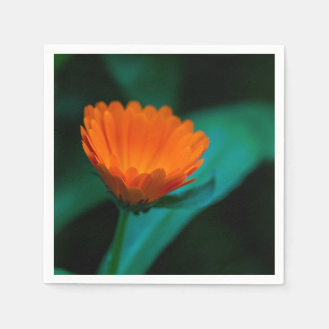 Orange tusenskönsblomma pappersservett (Framsidan)