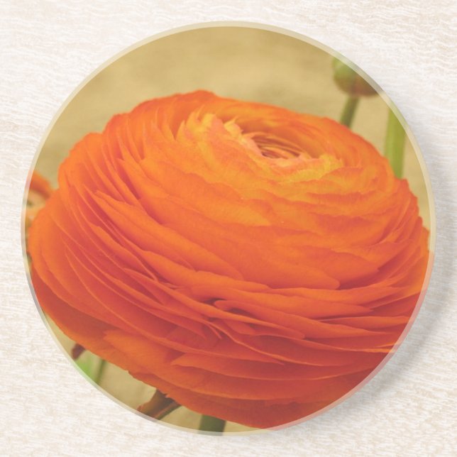 Orange Underlägg blomma Sandsten (Framsidan)