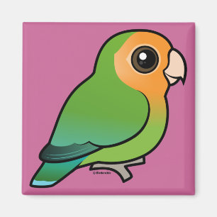 Orange-vänd mot Persika-vänd mot Lovebird Magnet