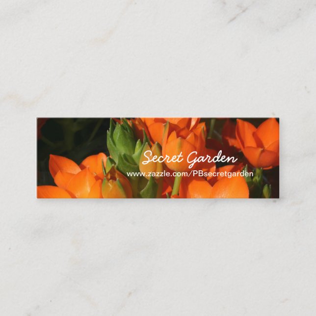 Orange Vår 1 - Florfotografi Mini Visitkort (Framsida)