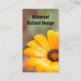 Orange Vår Flash African Daisy Close Up Visitkort