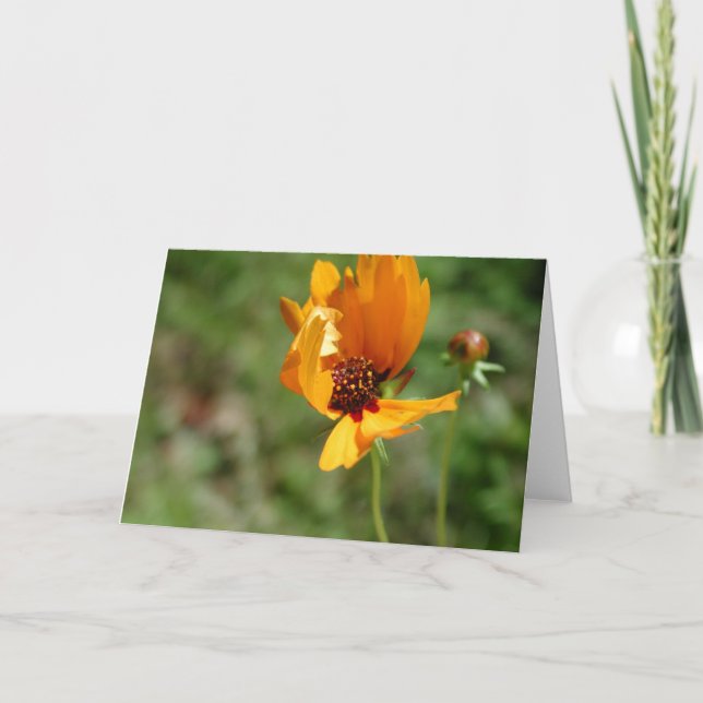 orange vild-blomma kort (Framsida)