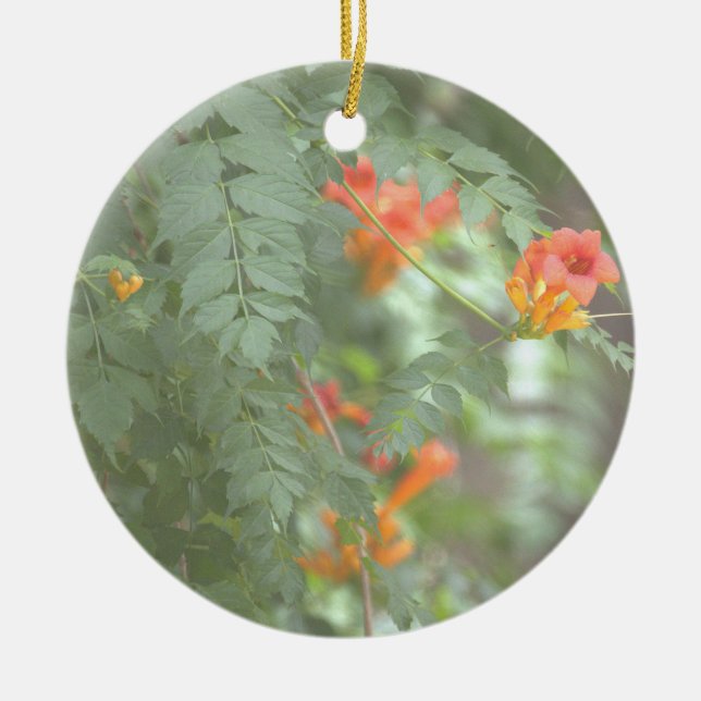 Orange vilda blommor ornament (Framsidan)