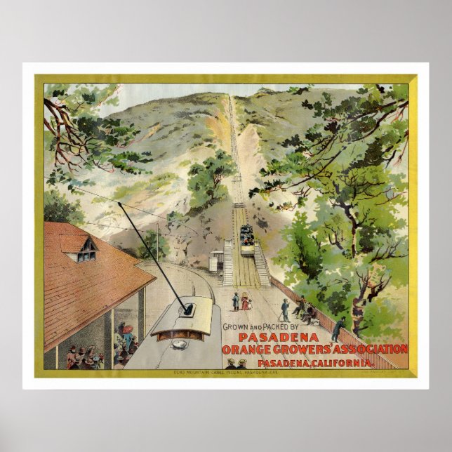 Orange Vintage etikett Poster (Framsidan)