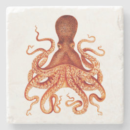 Orange Vintage Illustration av oktopus Underlägg Sten