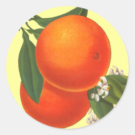 Orange Vintage Låda Art-etikett Runt Klistermärke