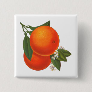 Orange Vintage Låda Art Knapp