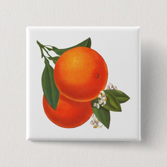 Orange Vintage Låda Art Knapp (Framsida)