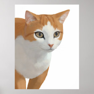 Orange & Vit Kattporträtt Poster