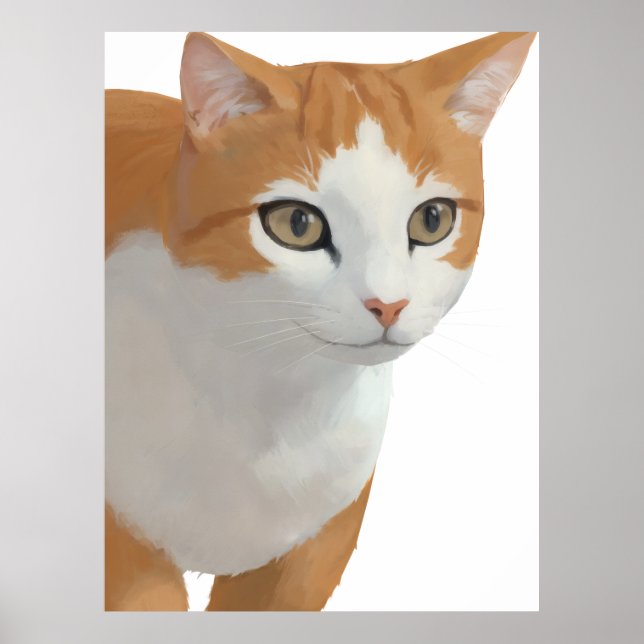Orange & Vit Kattporträtt Poster (Framsidan)