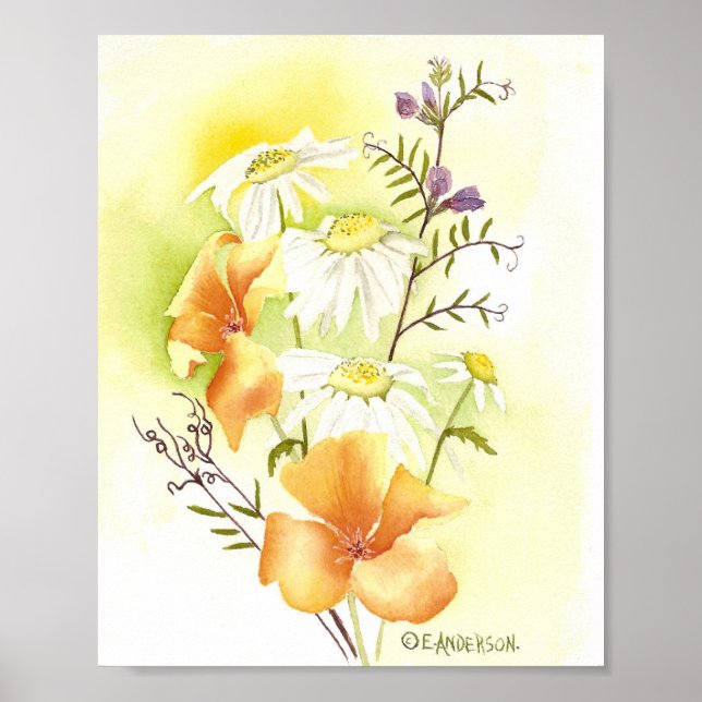orange, vita daisy och lila sötsaker poster (Framsidan)