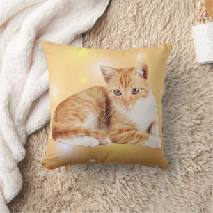 Orange Vita Tabby katt Dekorativ kudde