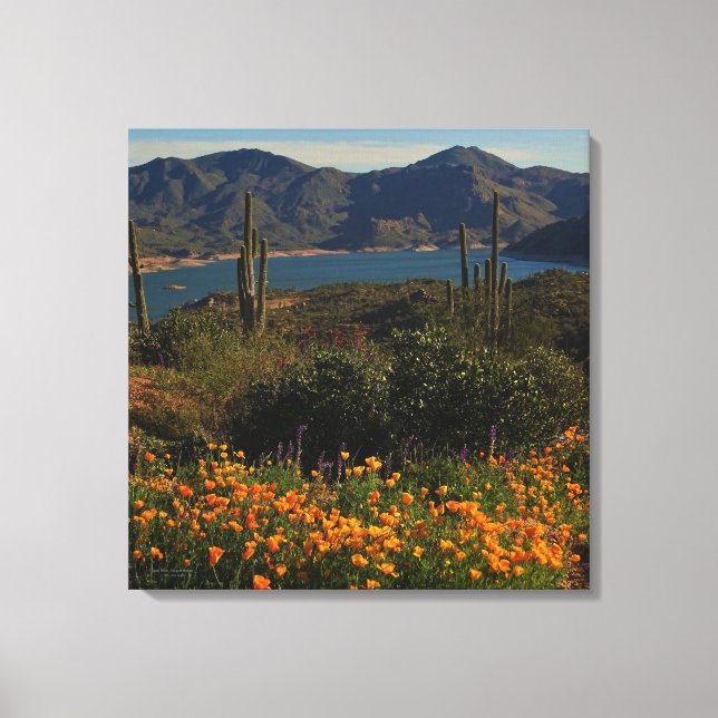 Orange Wildblomma Saguaro Cactus Sjö View Arizona Canvastryck (Framsida)