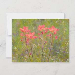 Orange Wildblommor Indian Paintbrush Blommigt Vykort