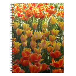 Orange-&-Yelow-Tulips.jpg Anteckningsbok Med Spiral