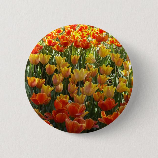 Orange-&-Yelow-Tulips.jpg Knapp (Framsida)