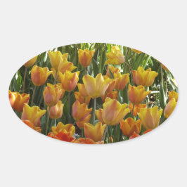 Orange-&-Yelow-Tulips.jpg Ovalt Klistermärke