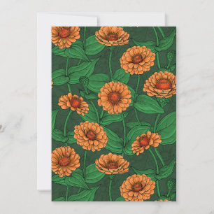 Orange Zinnia-blommor, grönt löv på mörk grönt