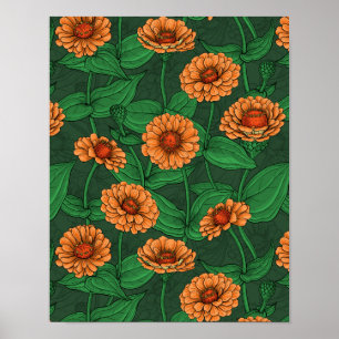 Orange Zinnia-blommor, grönt löv på mörk grönt Poster