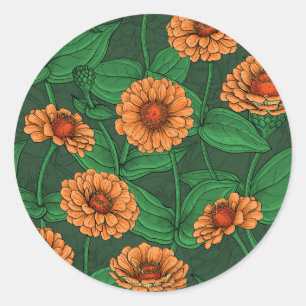 Orange Zinnia-blommor, grönt löv på mörk grönt Runt Klistermärke