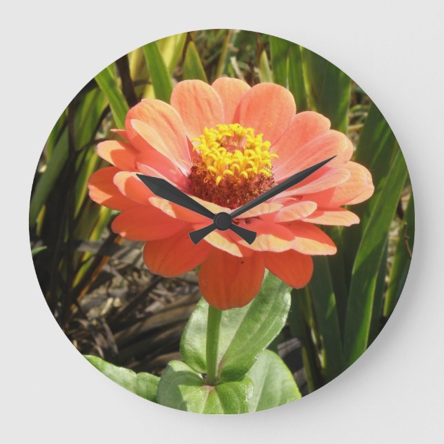 Orange Zinnia-blomningslås Stor Klocka (Framsida)