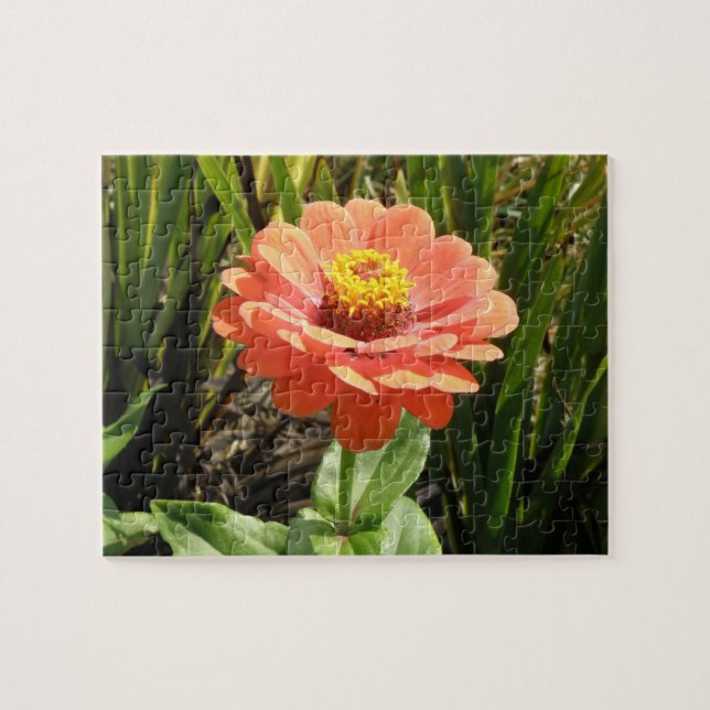 Orange Zinnia Flower Puzzle Pussel (Horisontell)