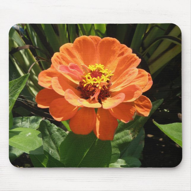 Orange Zinnia Mousepad Musmatta (Framsidan)