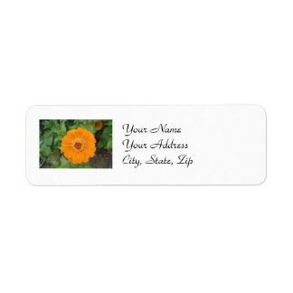 Orange Zinnia Returadress Etikett