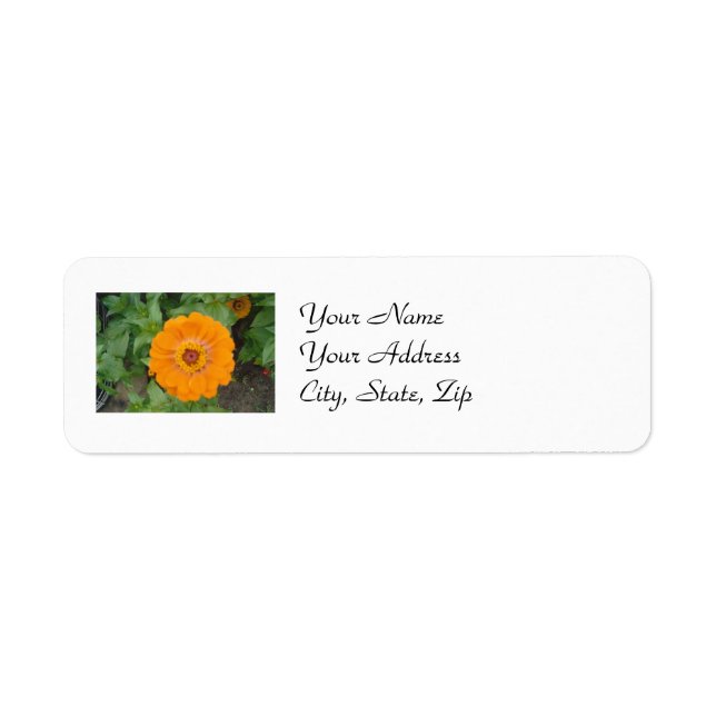 Orange Zinnia Returadress Etikett (Framsidan)