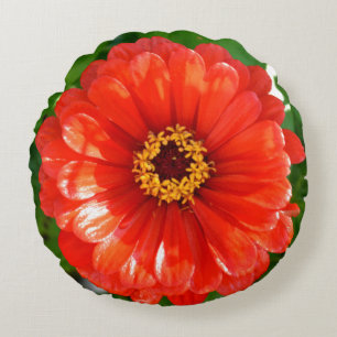 Orange Zinnia Rund Kudde