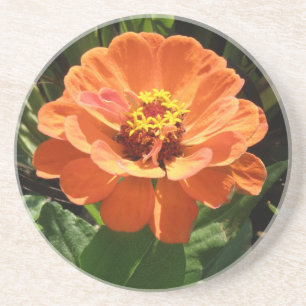 Orange Zinnia Underlägg Sandsten