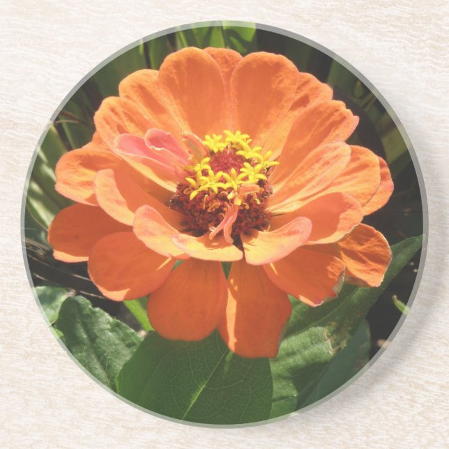 Orange Zinnia Underlägg Sandsten (Framsidan)