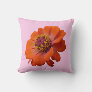 Orange Zinnia Vildblomma Natur Blomma Kudde
