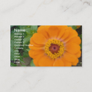 Orange Zinnia Visitkort