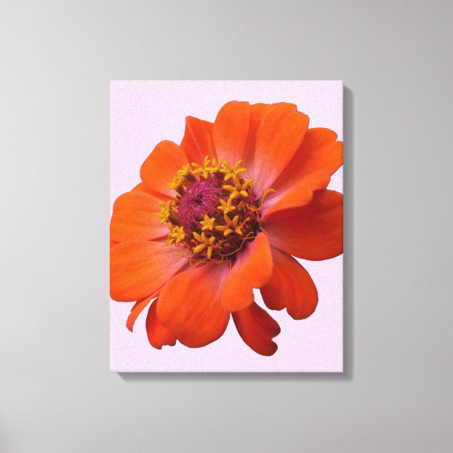 Orange Zinnia WildblomNature Blommigt Canvastryck (Framsida)