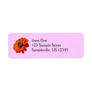 Orange Zinnia WildblomNature Blommigt Returadress Etikett