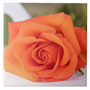 Orangea kronblad blommor blom- kakelplatta