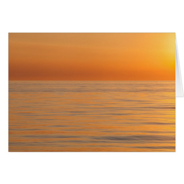 Orangedrömstrand Hälsningskort (Framsidan Horizontal)