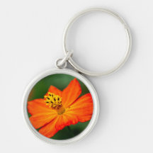 Orangefärgad blommehänge