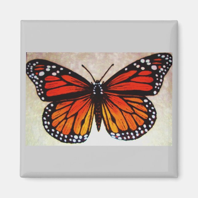 orangefjäril magnet (Framsidan)