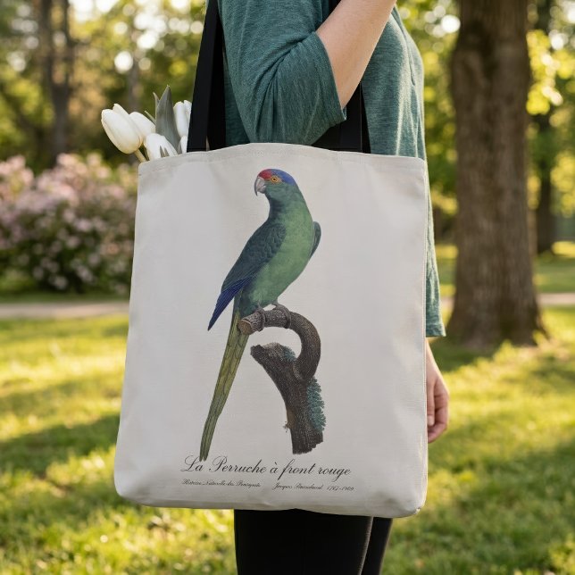 Orangefrontad parakit, Eupsittula canicularis Tygkasse (Orange-Fronted Parakeet, Eupsittula Canicularis. Tote Bag)