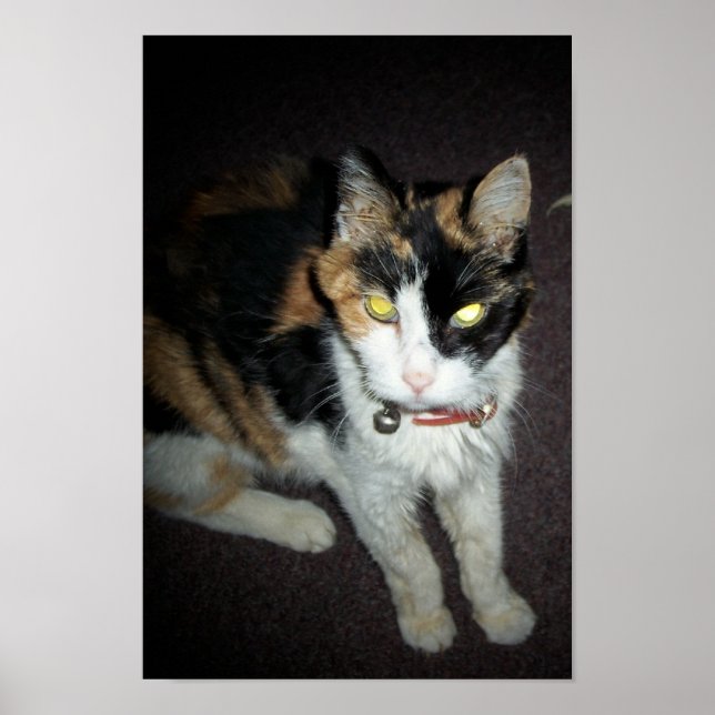 orangegul poster (Framsidan)