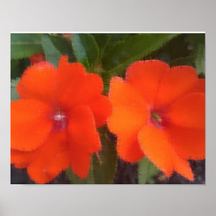 Orangen blommar 14" x 11", (Matte) affischpapper, Poster