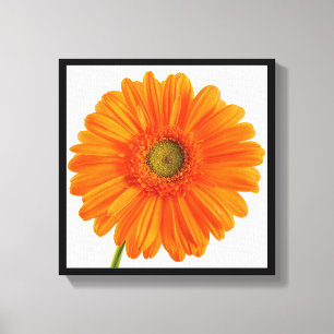 Orangen Gerbera-Daisy, Fine Art Photography Canvastryck