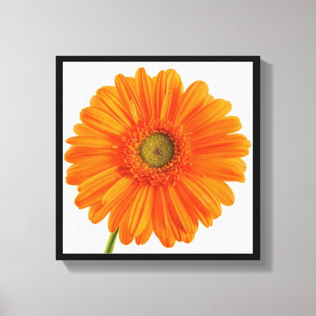 Orangen Gerbera-Daisy,  Fine Art Photography Canvastryck (Framsida)